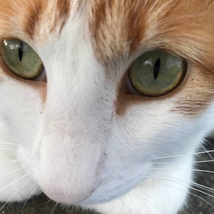 C449d006 6365 4a68 820d 15030f987f79