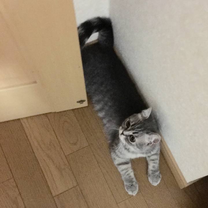 C449e2ce cdf7 41b5 b59b 3429b710d43e