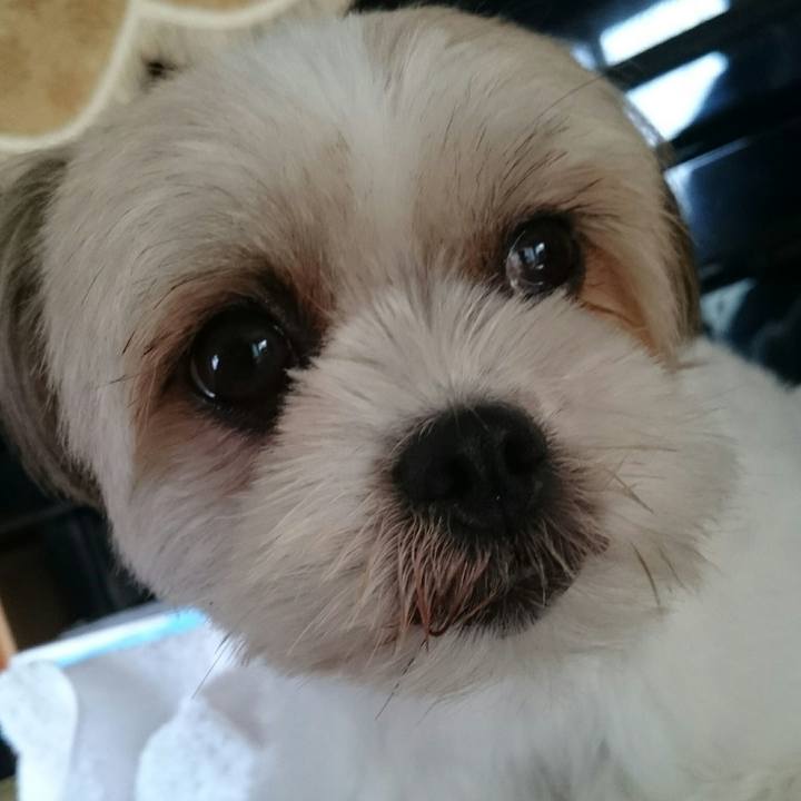 C44a6ad1 d7d5 4e31 b91c 1a352762903f