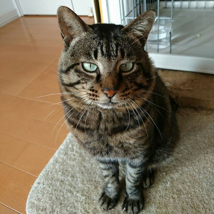 C44ad68c bc71 4b52 b226 bd579e978e4d