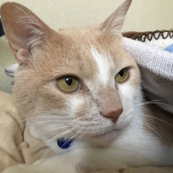 C44b3ffc 4bbc 472a 8e18 18c2f491c0a7