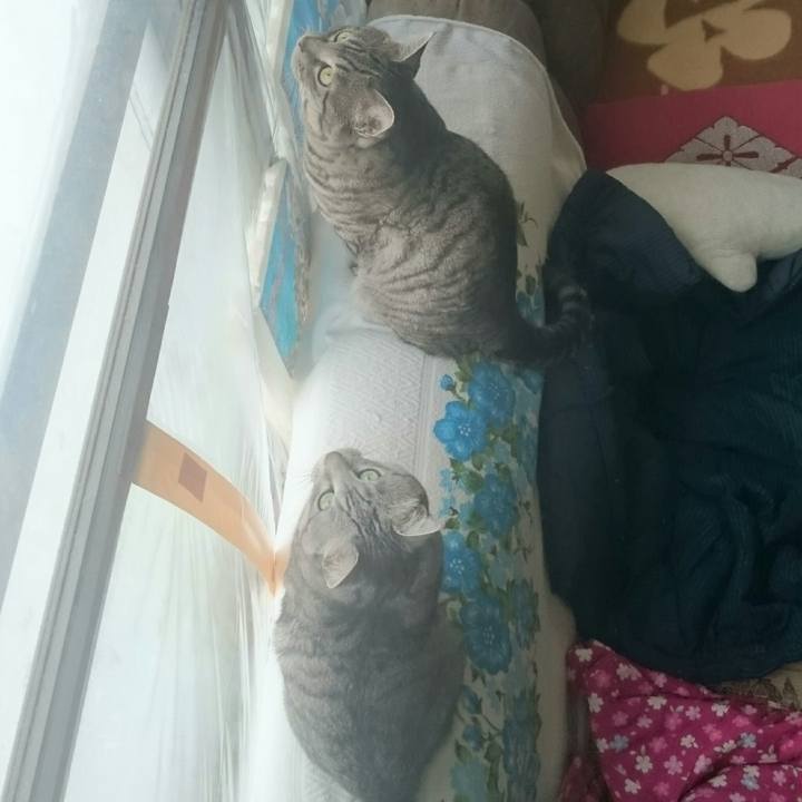 C44b86d2 4da9 4699 ae93 f2d687d37c3f