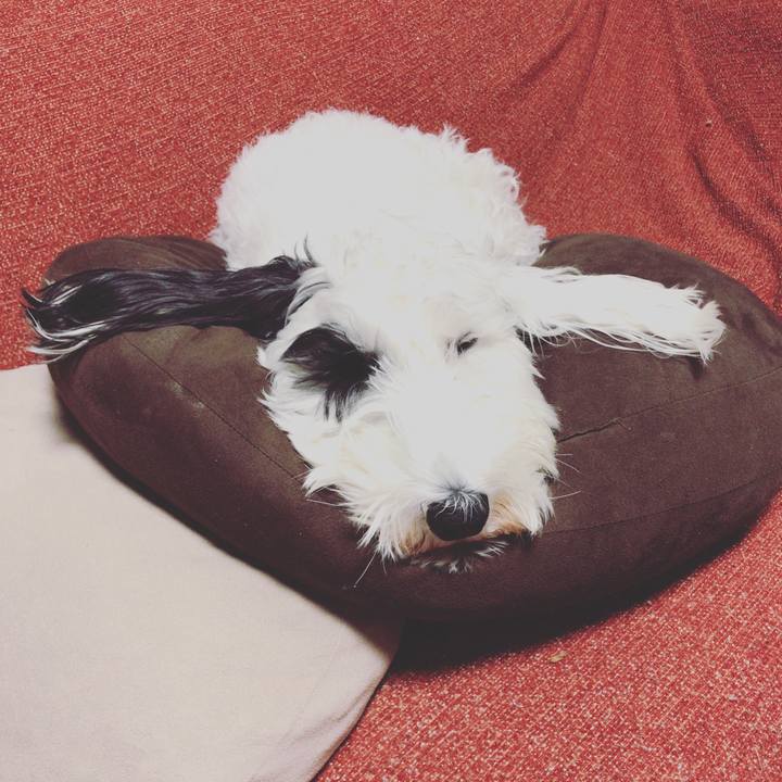 C44be1b4 055b 405f bad9 1361785ac269