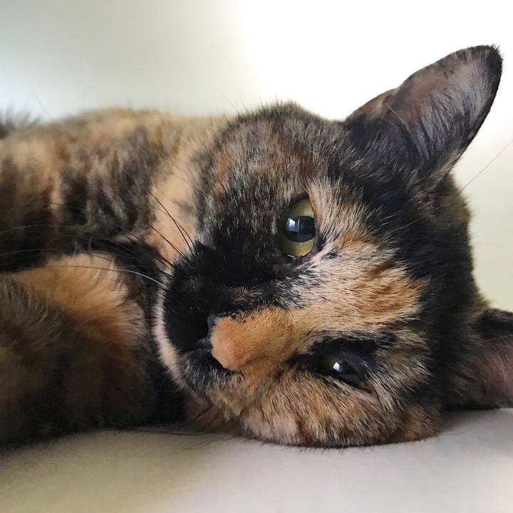 C44daa10 d919 4950 8570 3342201e2537