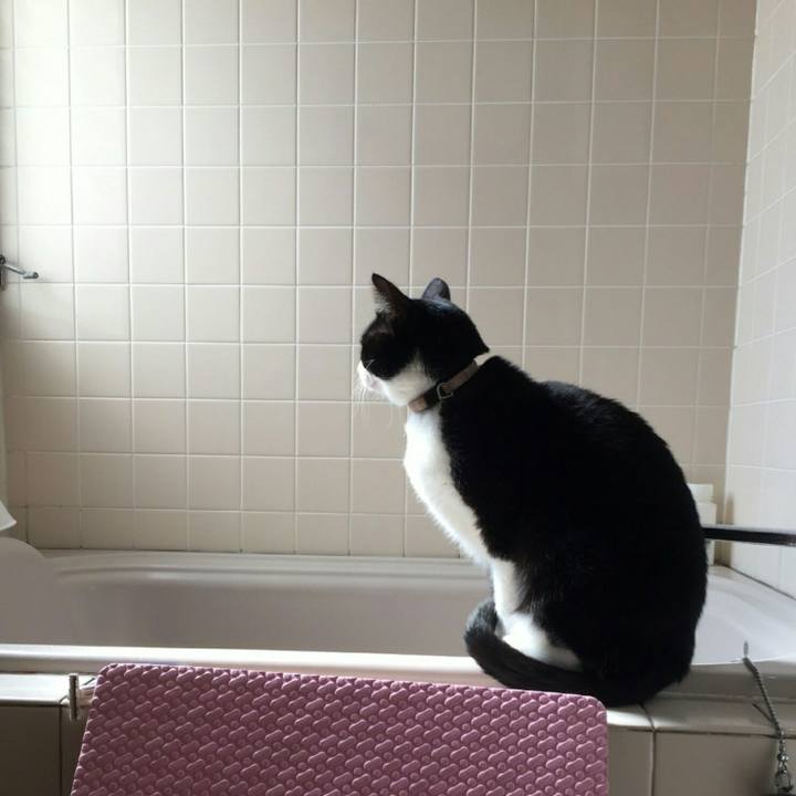 C44e6b35 076a 4f64 9911 bfba057c7a69