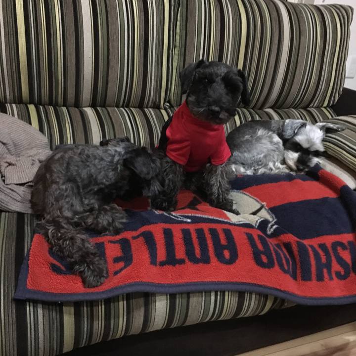 C44ebc04 70bc 427f 803e 2082c2767624