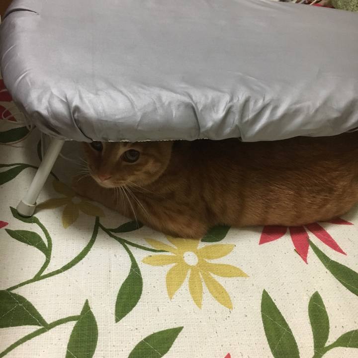 C44f150c f83d 45e7 bf9f 69055e11da66