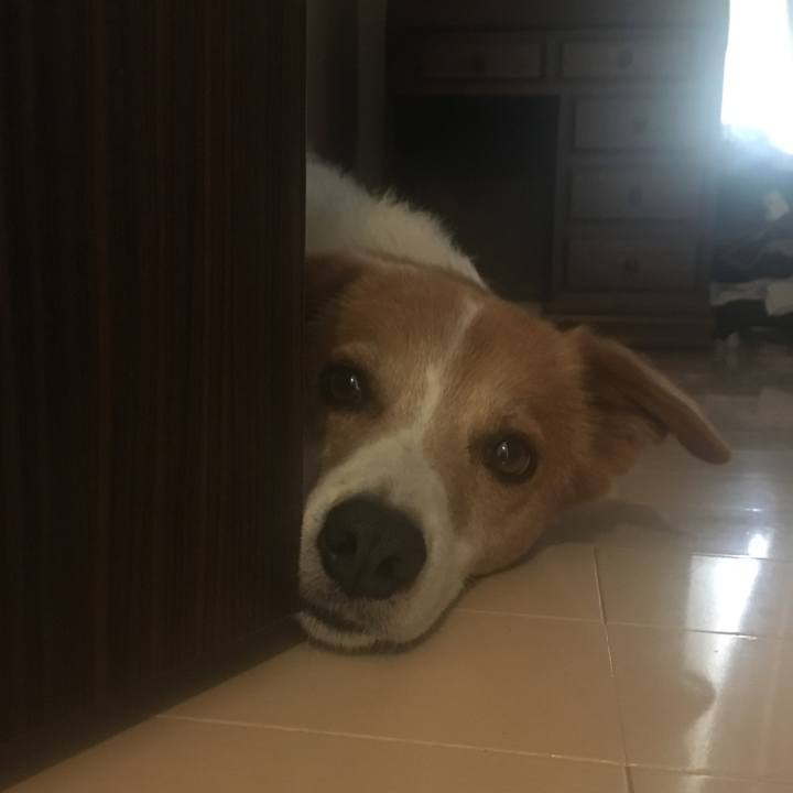 C44f34a7 8b71 4534 9eac a3a453b2f4a7