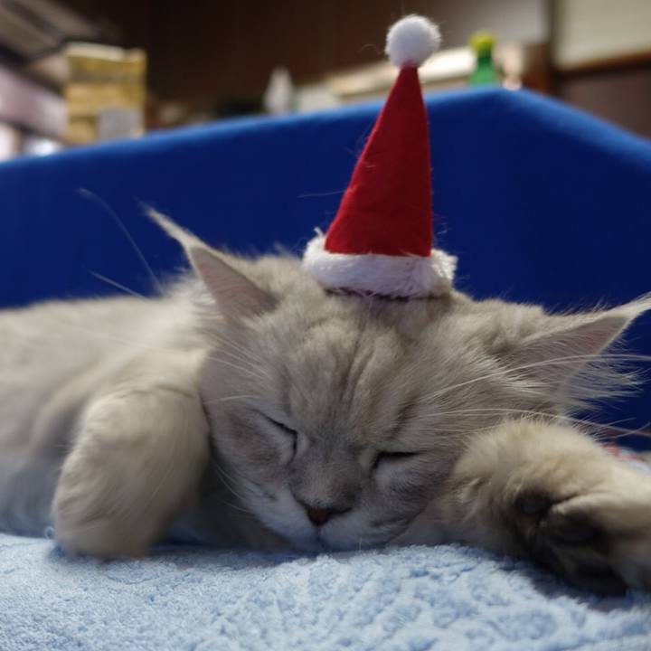 C44f3689 95ec 4954 8676 0c27abcbcb62