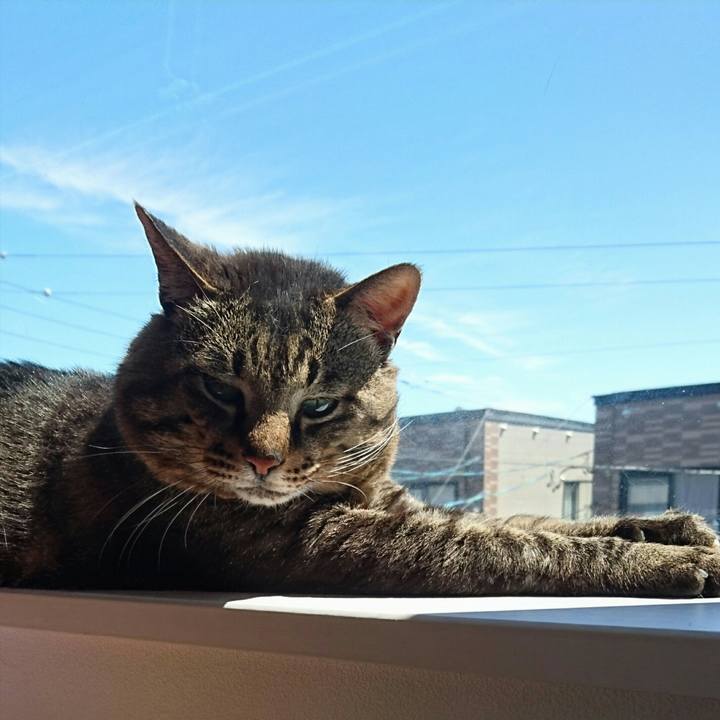 C44f5779 847a 4bc6 acb8 6b74cf8ef655