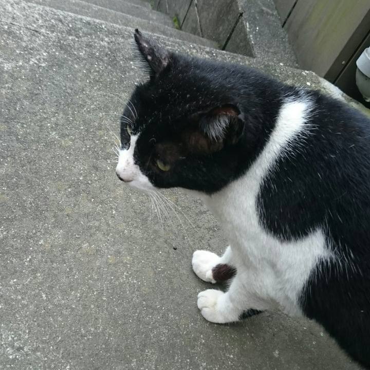 C44f5c48 c42a 4279 b920 acc3f55bc18e