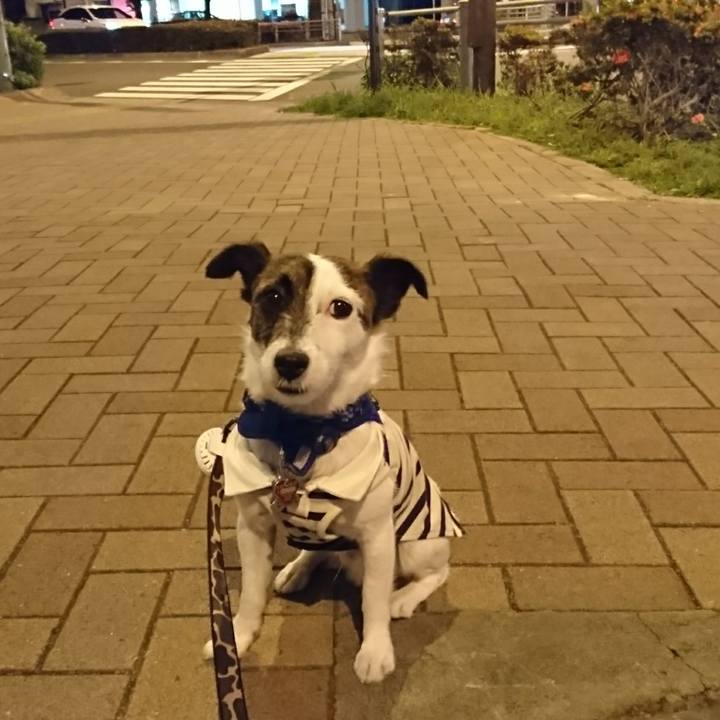 C44f693c 9718 41d7 b6e0 e8405e35f862