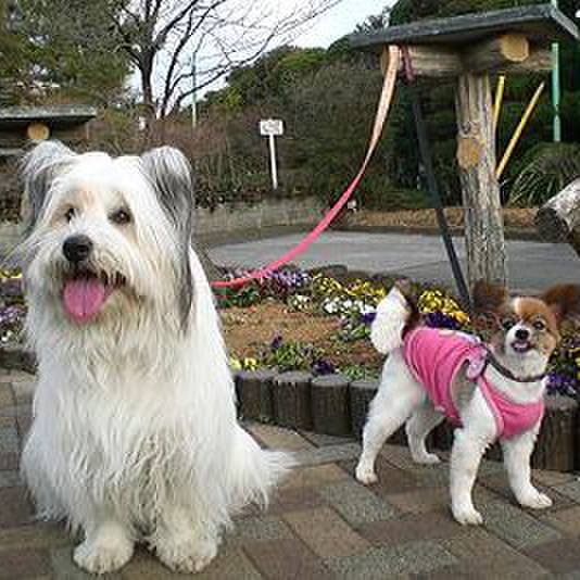 C450006c 3bd4 4786 8186 bb1c80f5e92b