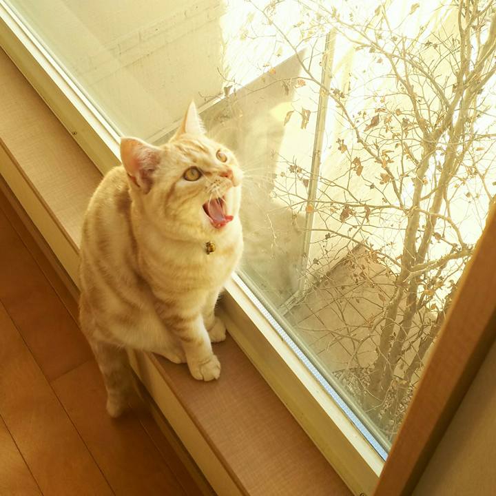 C4507a3b cd34 42b8 834c f195634adc5a