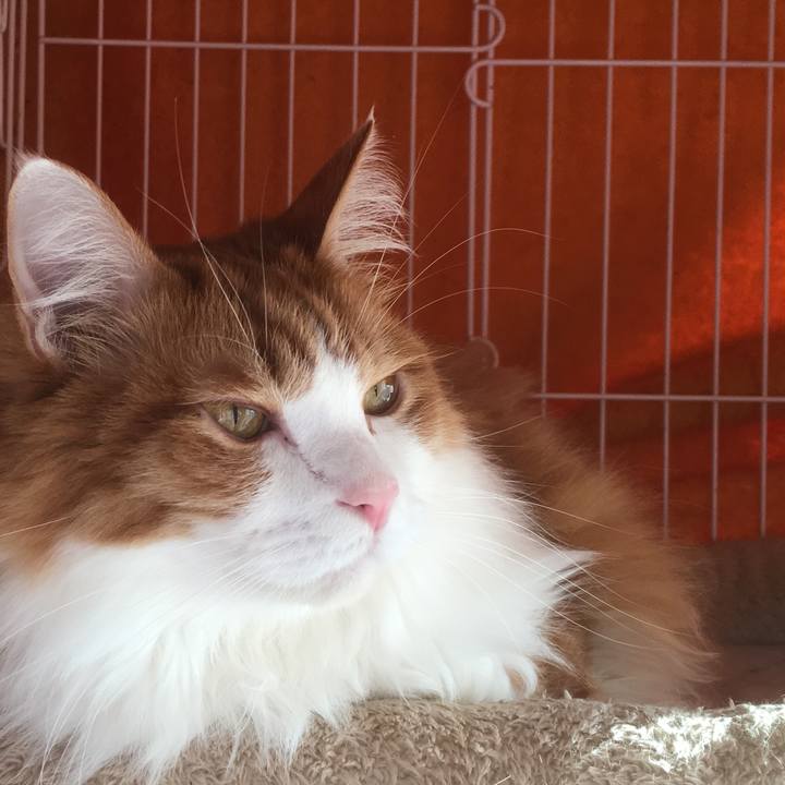 C4508bc3 79d0 4def 9a3d ff25b1cb6bcd