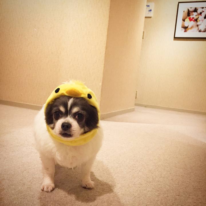 C453bfb2 13c4 413a 9636 1286491cd641