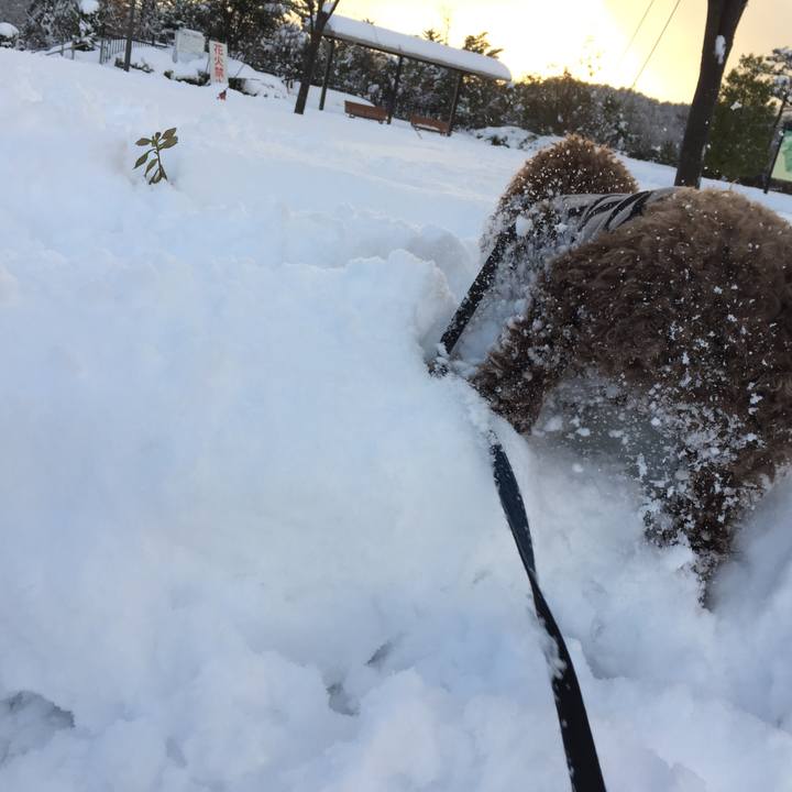 C4542b7a 51d7 4658 86c2 edd4a932bf24