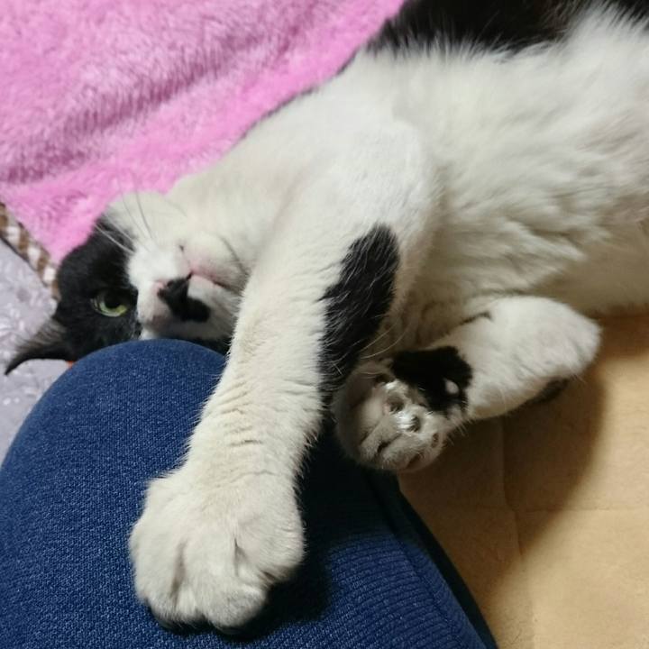 C4545891 47fd 4322 8bd1 21dba5ec7985