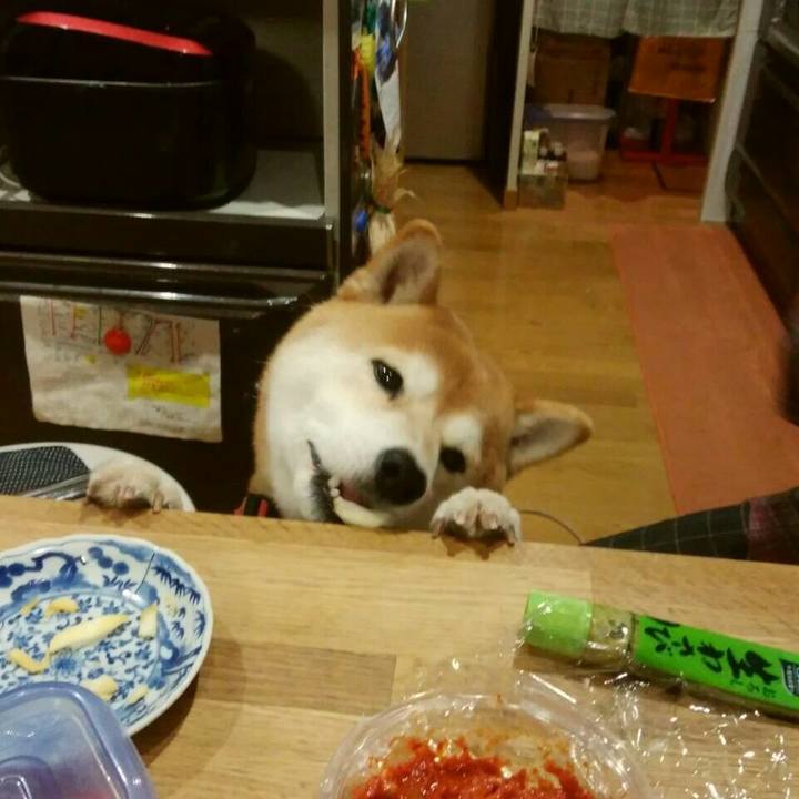 C454b32b 0889 427b 8cd7 bb82a521339b