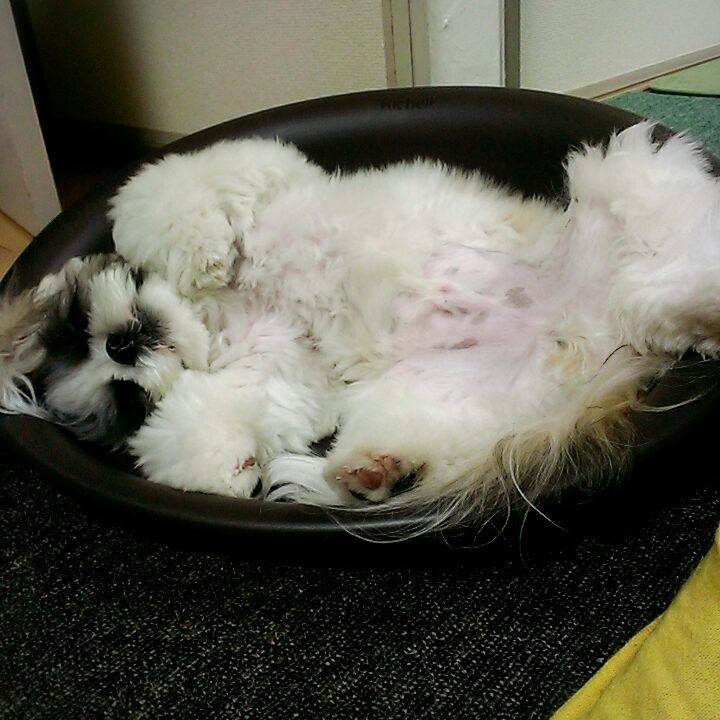 C454bd3d 88c3 4780 8ab9 afae21391001