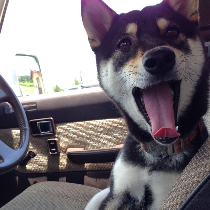 C45565c6 4d10 4278 84c9 a7791220d51f