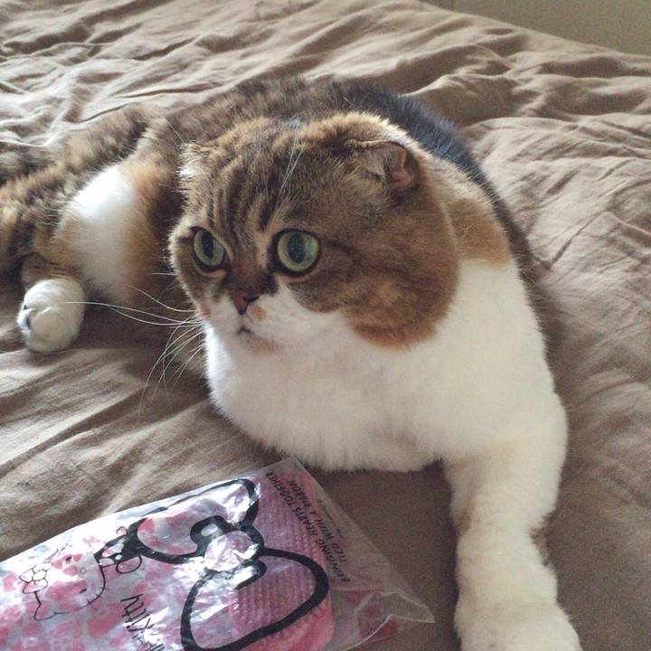 C4556ce4 6148 4d07 9a4b 68eec9e4e33d