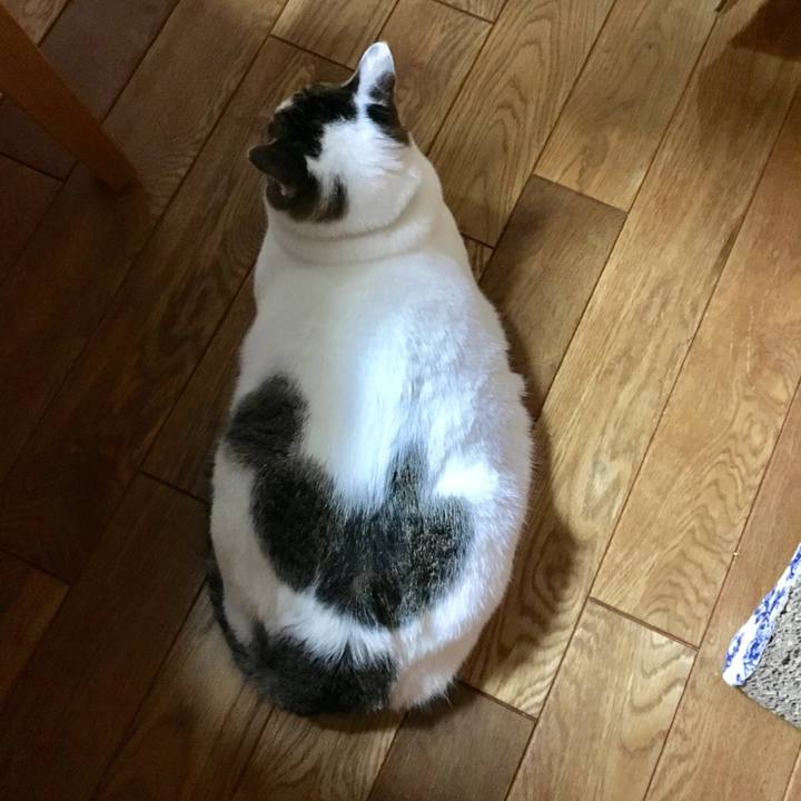 C45710b1 09cd 4d3c 9850 e3d293adef13