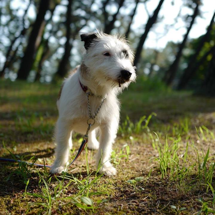 C4576e87 3915 46d6 8380 207ee93d379c