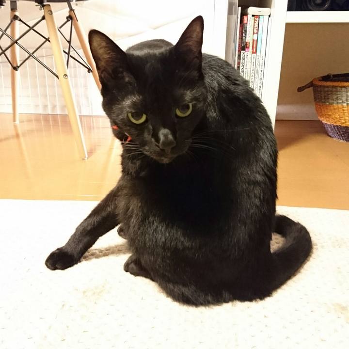 C457892c 9d3c 4aca a49a 42a815316479