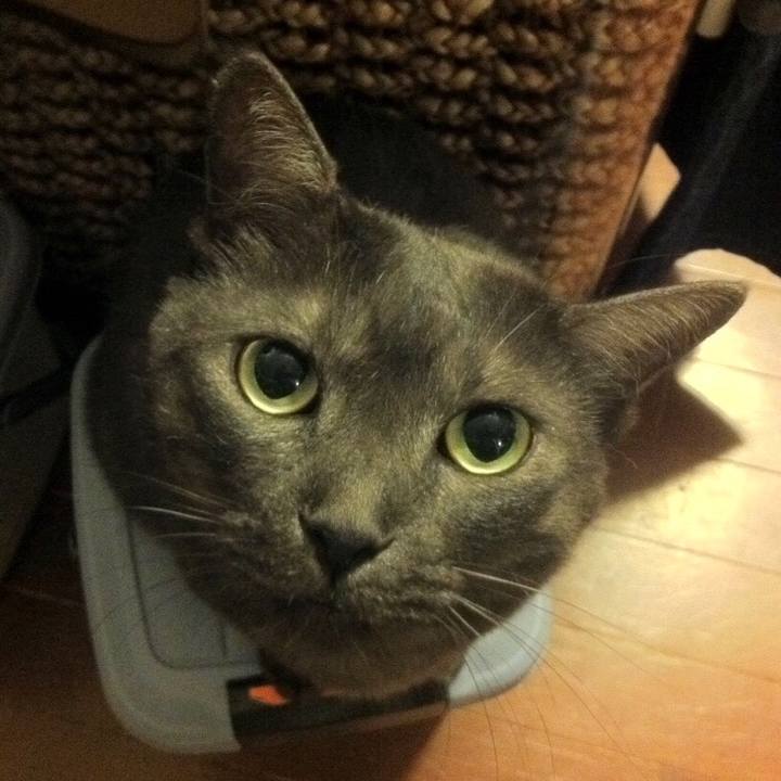 C457b792 84f7 4d42 b7cb a9048cece937