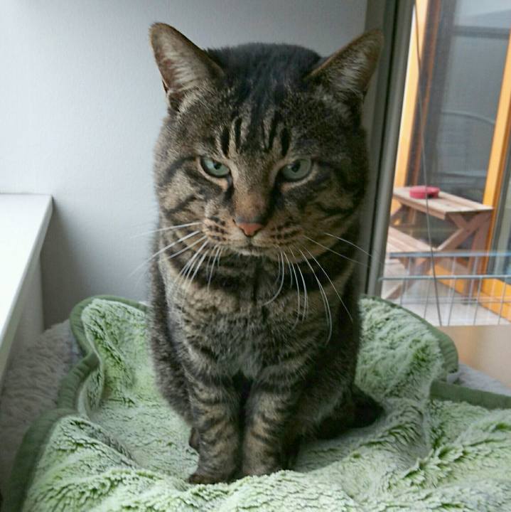 C457c131 00ca 4dd2 8fb7 31bac96a27a8