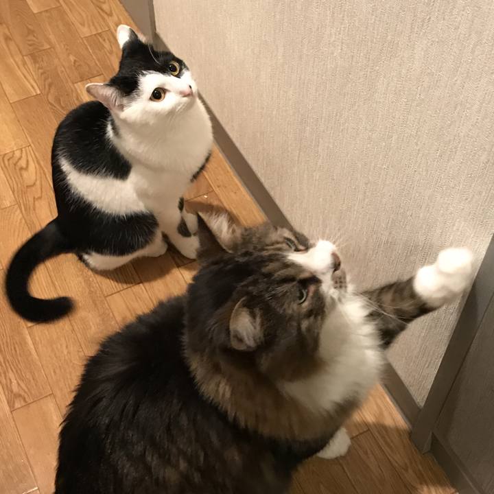 C457d5d8 80ae 4a66 ad16 b94cd5f6a084