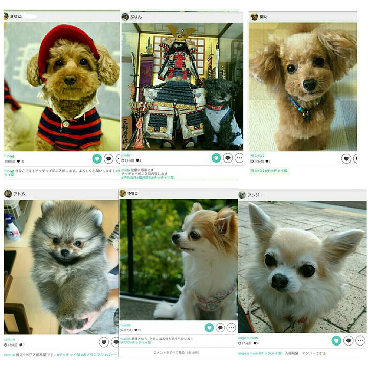 C457e80b c4ef 4e76 9cc3 5853c11989f8