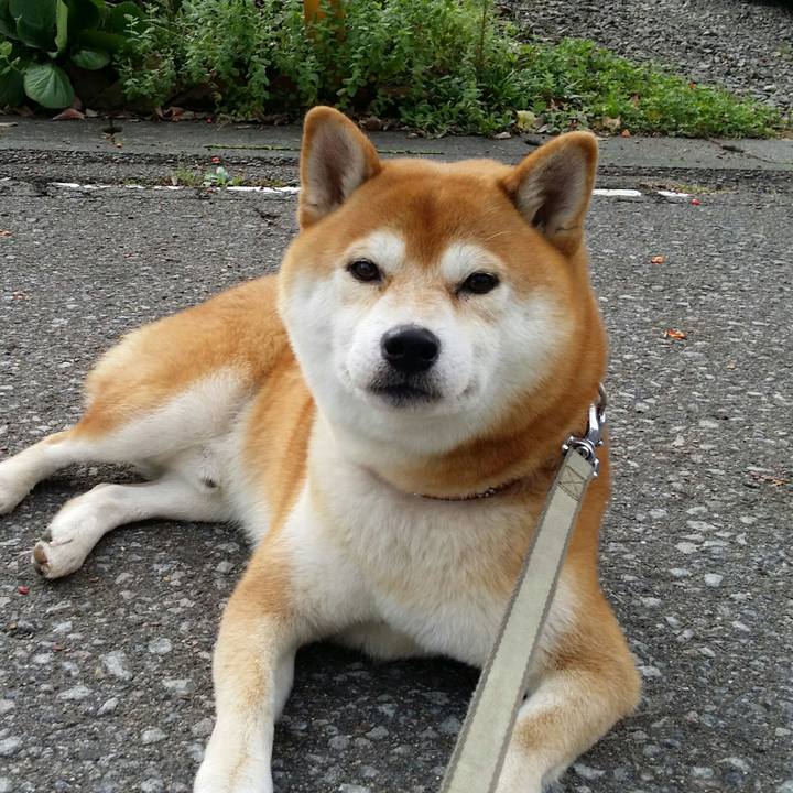 C4588997 d5a5 4f82 80f0 996302e279c7