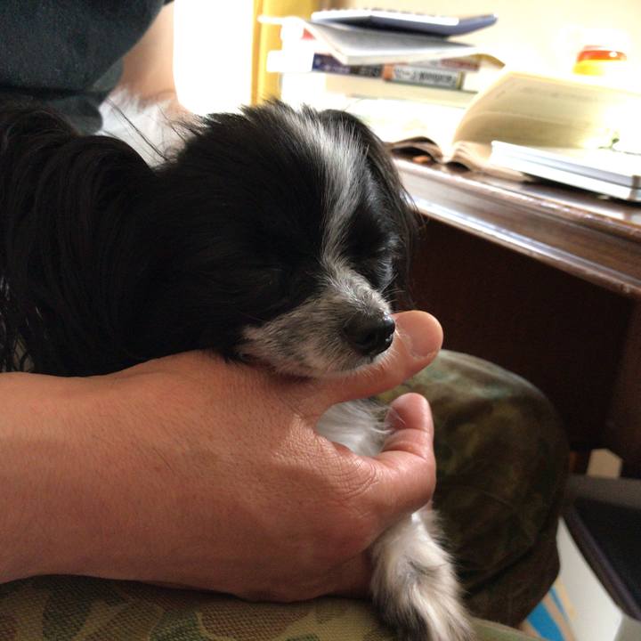 C4597adf 6778 414e acfc 05462dec5608