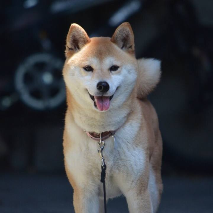 C45a6f4f 895c 43fc 985f f8c1d1c40bc3