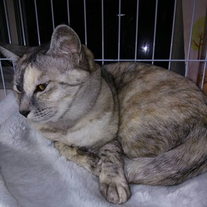 C45b475e 707c 4939 9805 efc434a3cbc6