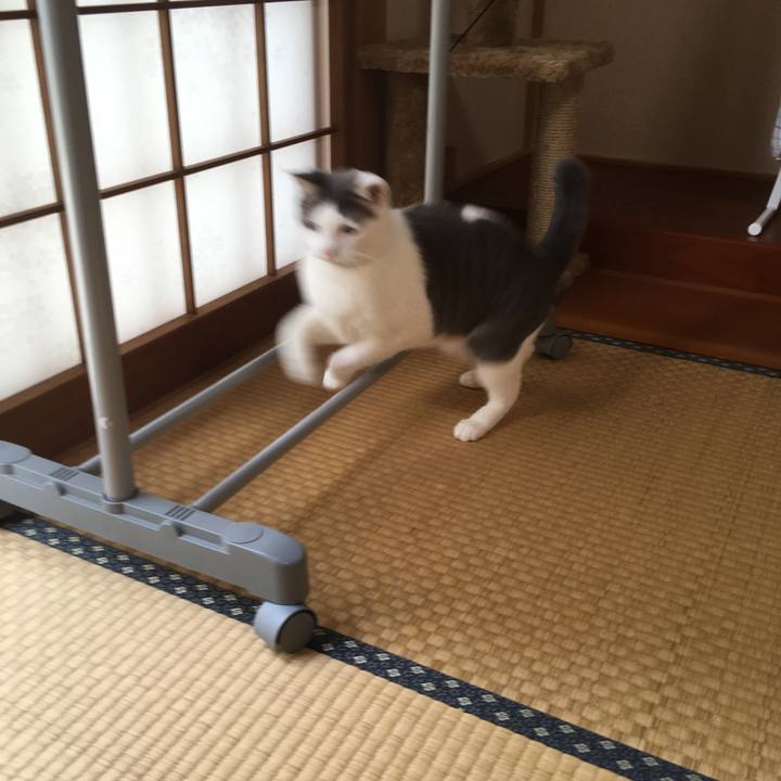 C45bb135 7f27 4c04 957a 3637c0550aa1