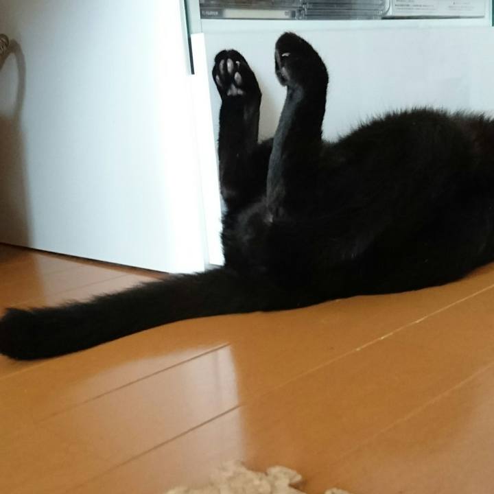 C45c3938 4116 4166 9e37 e4a1cc94b236