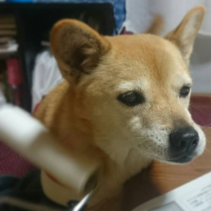 C45d9921 95ae 4668 b917 2562ef7950fa