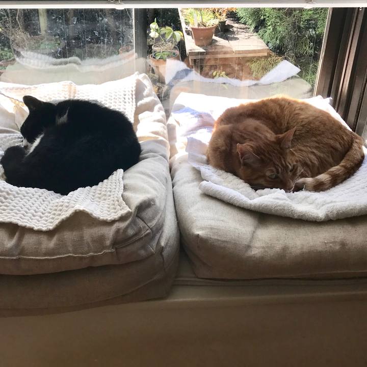 C45e843e 33e7 4ac7 8b6a 78a93f1b25ec