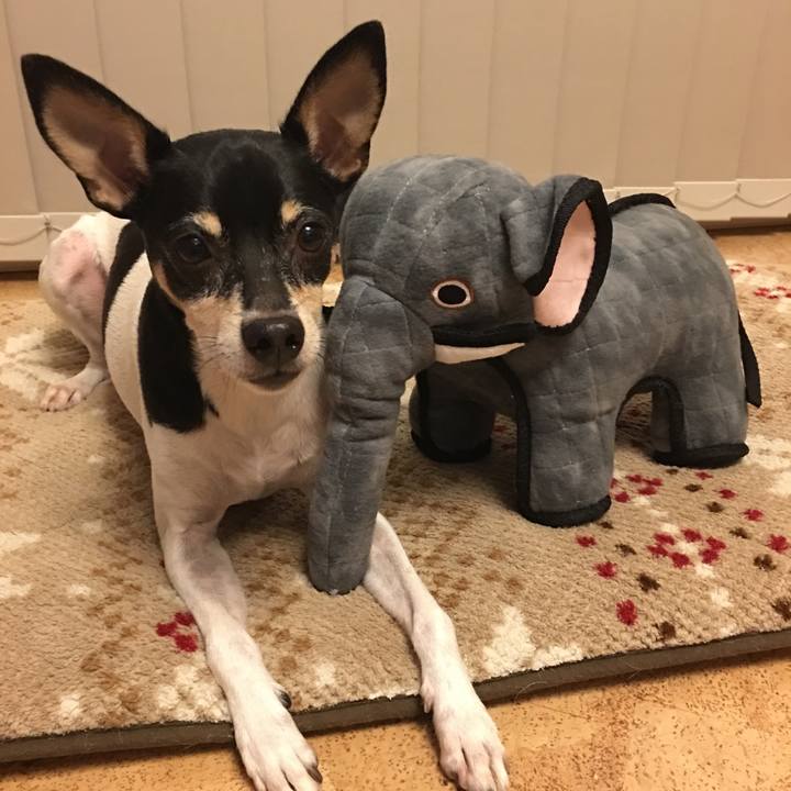 C45e86e8 30ae 4754 b9b9 cddc79e0af33