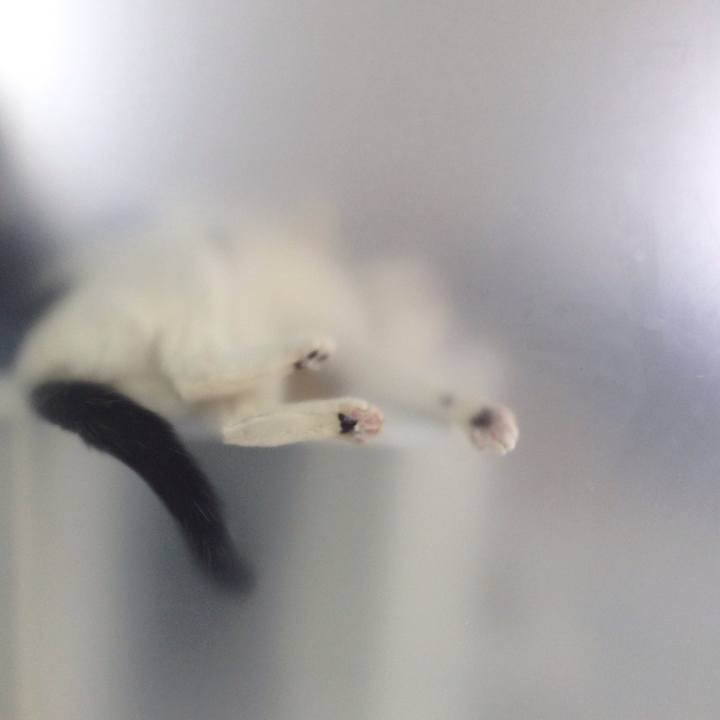 C45e8bf6 70d1 44b0 a54d 84e1003b2c04