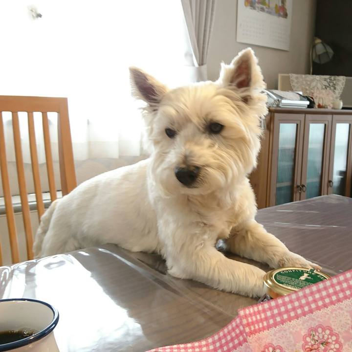 C45f6fa5 0a67 4ed8 b868 c9967450b7d4