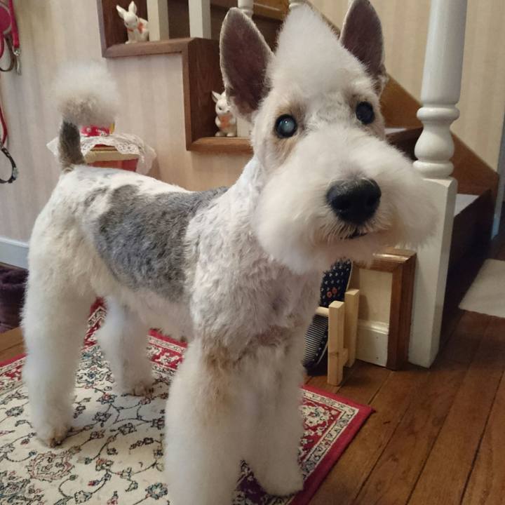 C46016f2 a512 47f6 9cc1 cf38ca0c098b