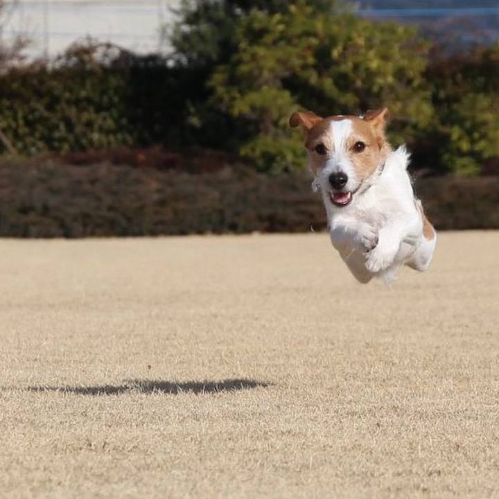 C4606870 c343 483c b41a 7e8147d1e023