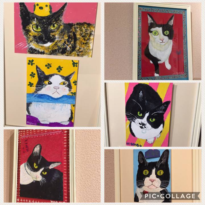 C460f40f aa8c 46ba 889f fd1edf22bfe9