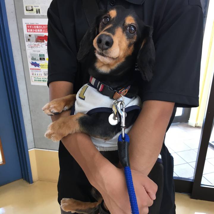 C462d37e 21fb 45b9 b42e bbf6ad151710