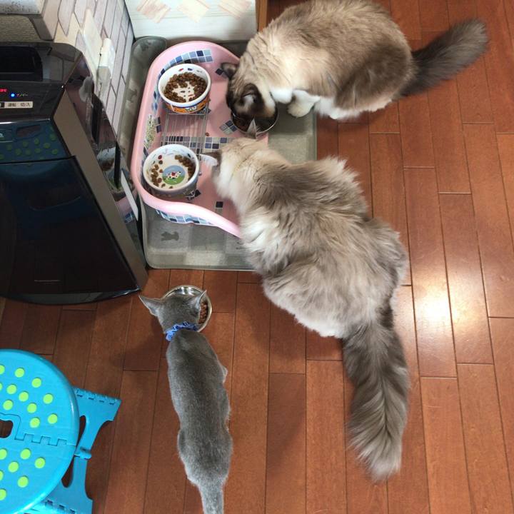 C463ad82 5972 493f 9a89 2ceaa55930f7