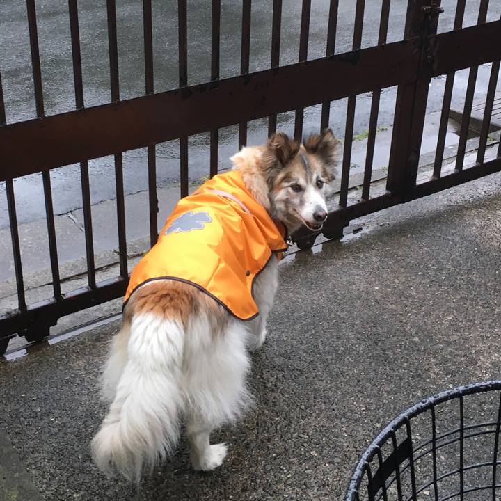 C463e8c0 7185 42e4 a39d 6861aae48525